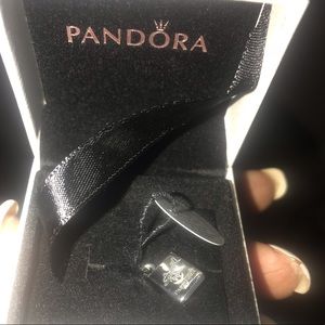 Pandora charms